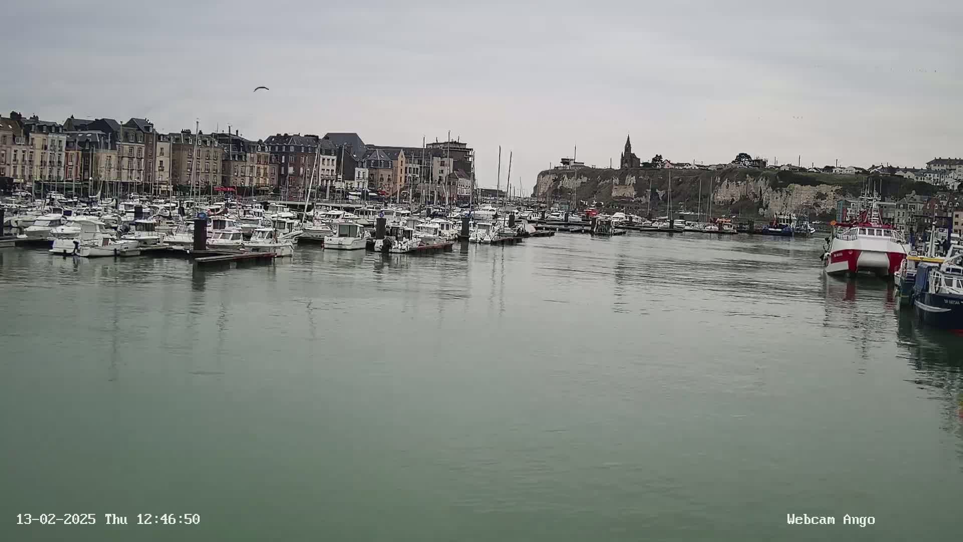 A harbor filled with numerous boats is situated in front of a town under an overcast sky.