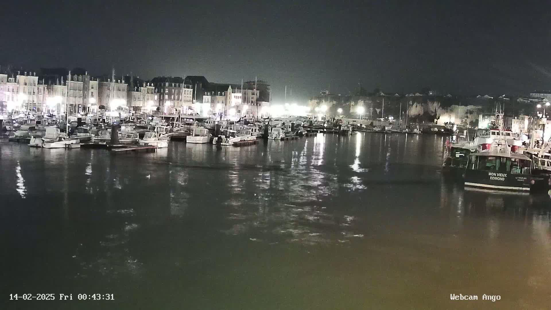 A nighttime harbor scene shows many boats docked along a waterfront lined with buildings, reflecting in calm water.