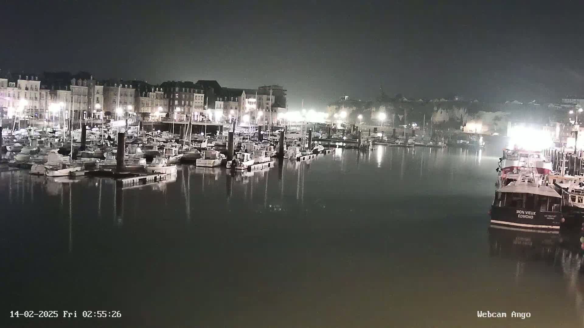 A nighttime view of a harbor filled with many docked boats and illuminated buildings along the waterfront under a hazy sky.