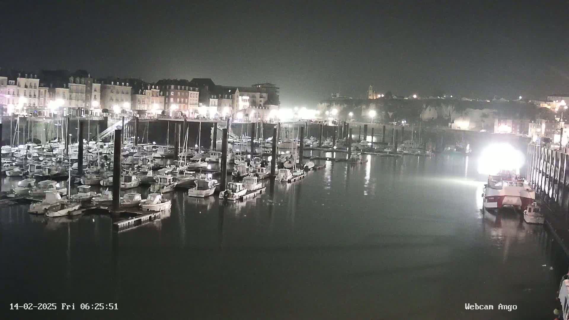 A nighttime harbor filled with numerous boats docked alongside a waterfront of buildings under slightly hazy conditions.