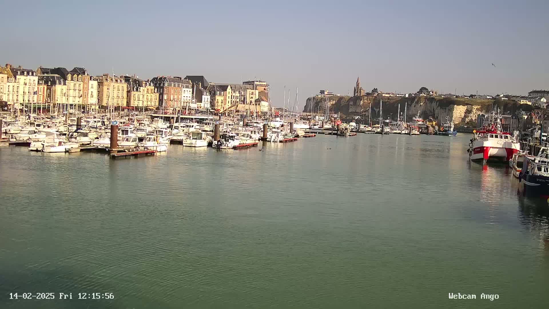 A calm harbor filled with numerous boats sits before a row of buildings and white cliffs under a clear, sunny sky.