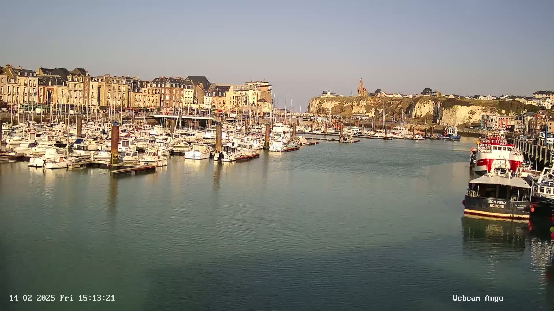A harbor filled with numerous boats is situated in front of a town under a clear, sunny sky.