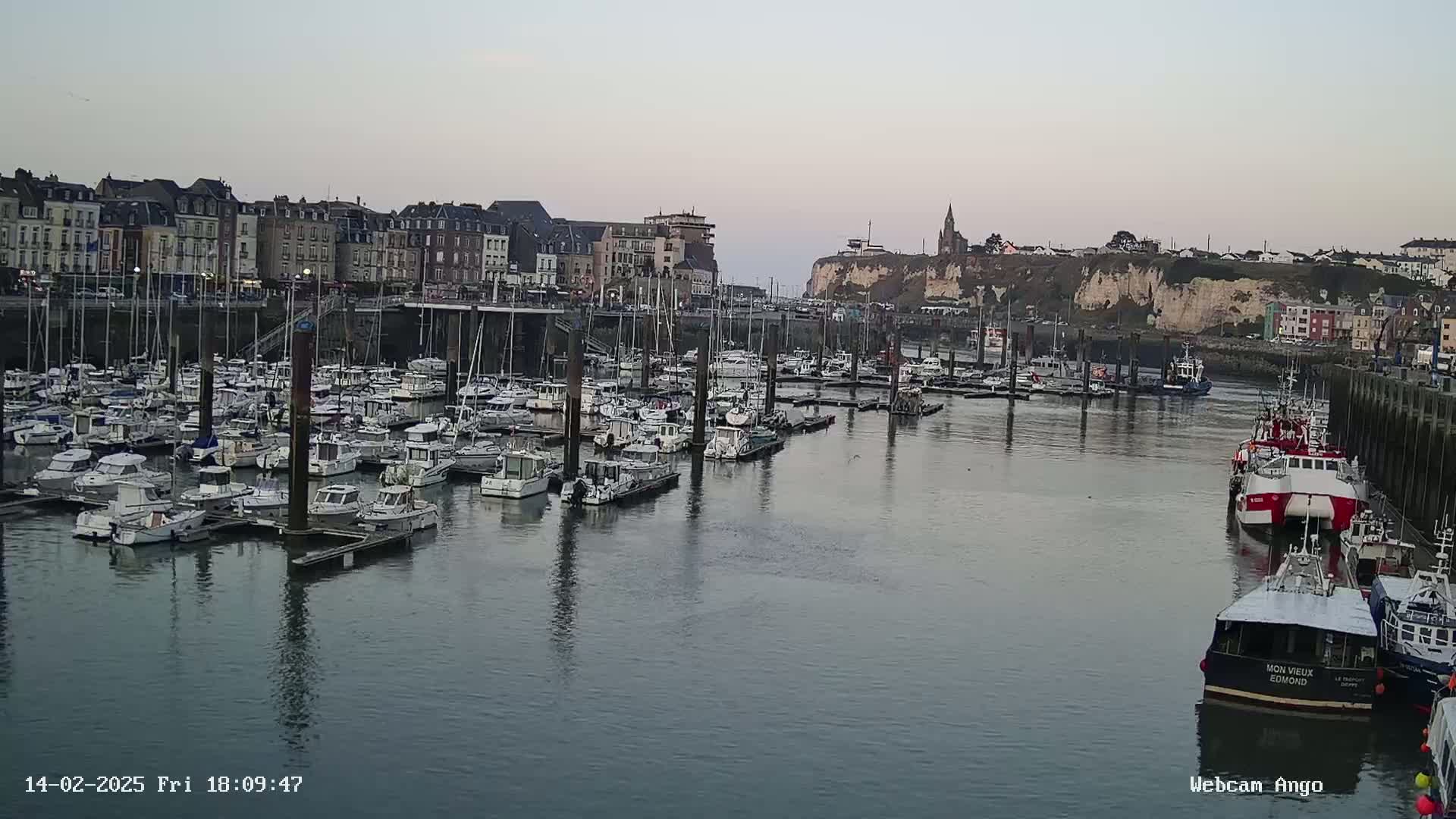 A harbor filled with numerous boats and yachts is situated in front of a town with buildings lining a cliffside under a dusky sky.