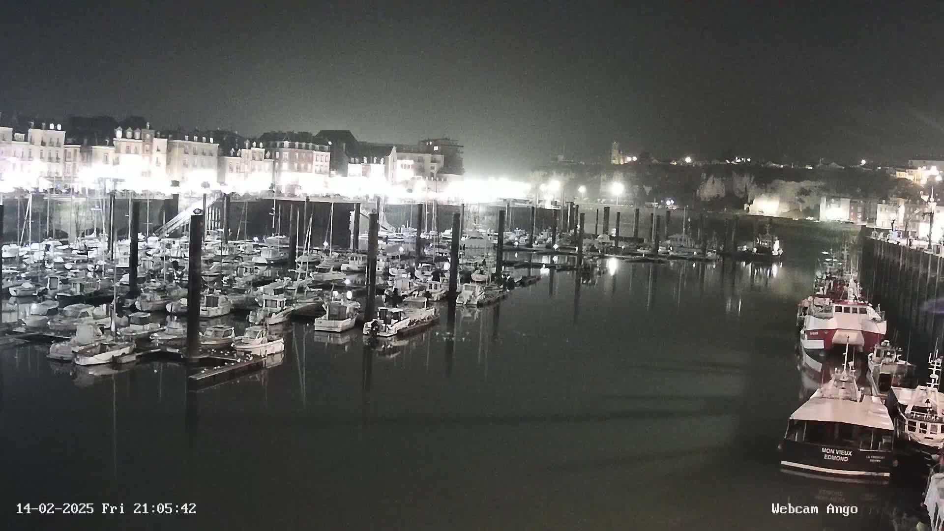 A nighttime view of a harbor filled with numerous boats docked at piers, with a town's illuminated buildings in the background under a dark, hazy sky.