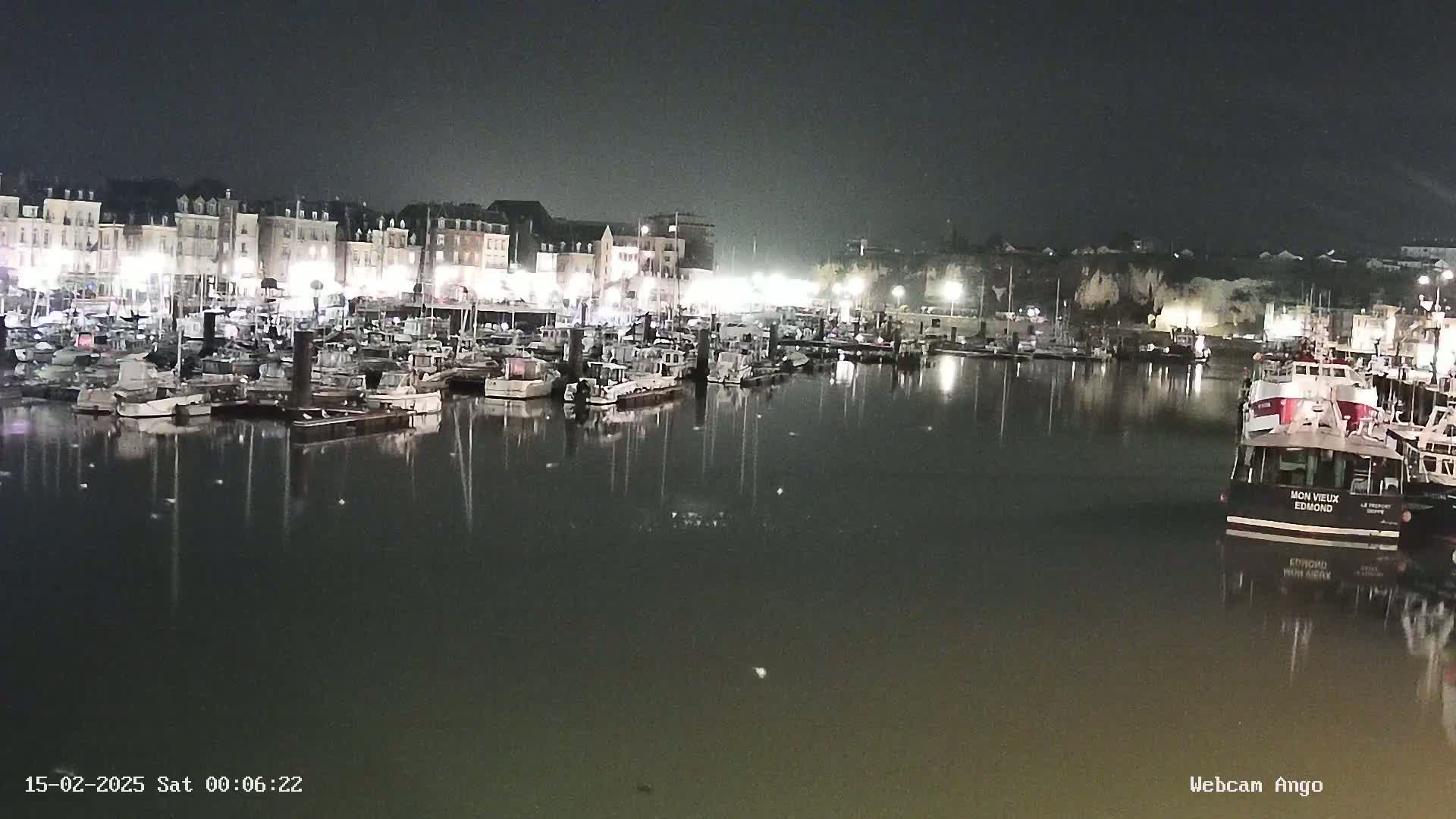 A nighttime view of a harbor filled with numerous boats docked along a waterfront lined with buildings under a dark, possibly foggy sky.