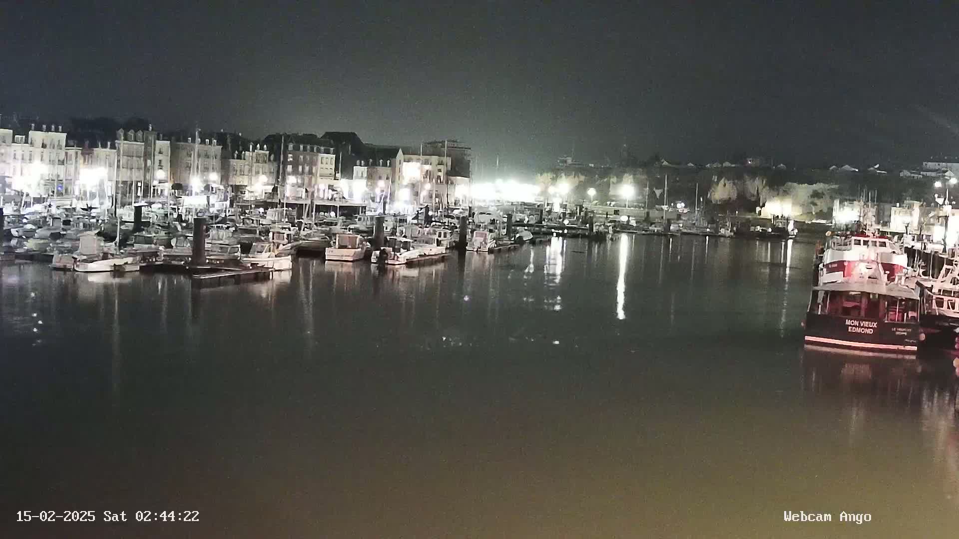 A nighttime view of a harbor filled with numerous boats moored alongside a waterfront lined with buildings.