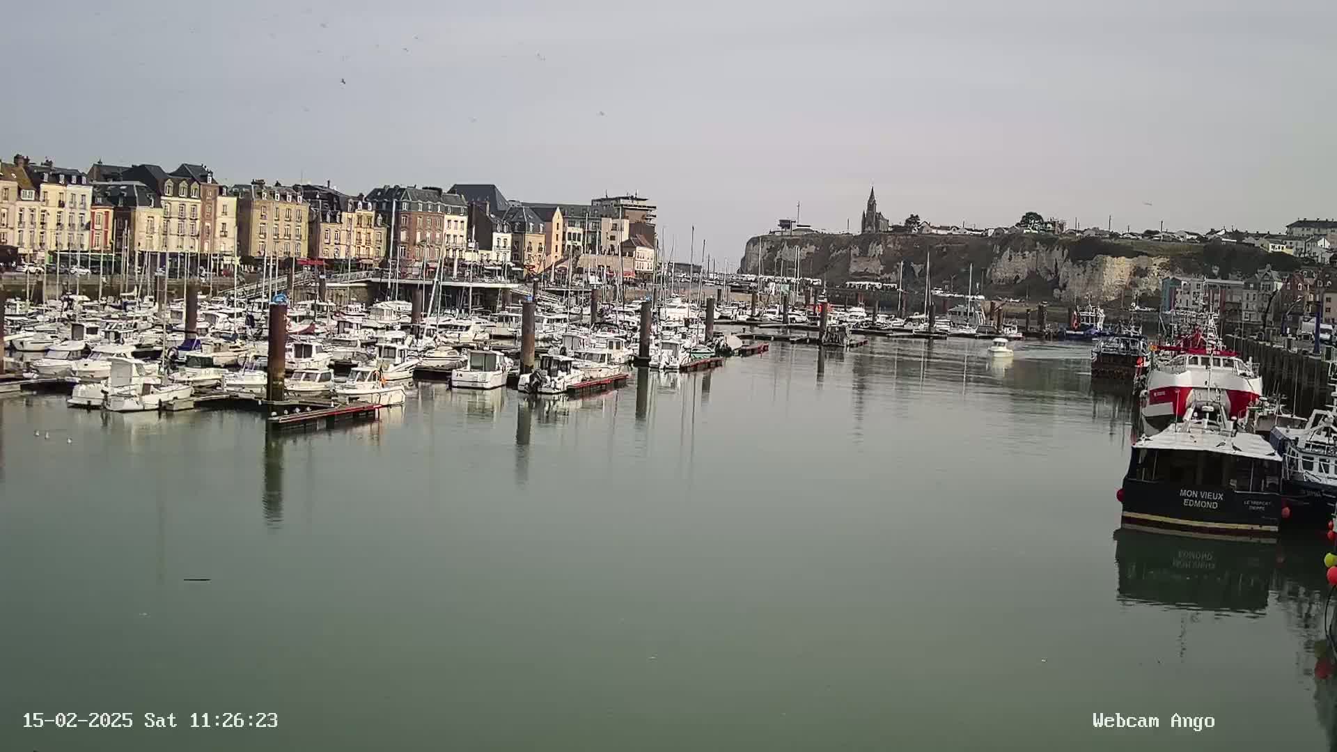 A harbor filled with numerous boats and yachts is situated in front of a town with multi-story buildings, under a mostly clear sky.