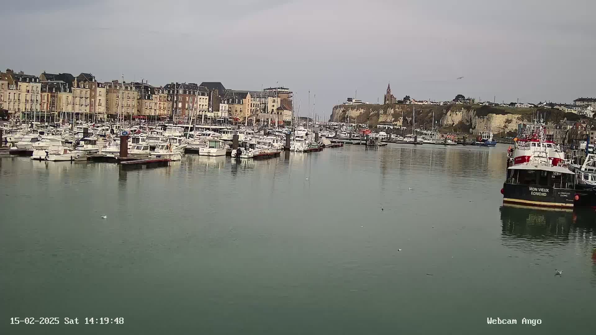 A harbor filled with numerous boats is situated in front of a town featuring multi-story buildings, under an overcast sky.