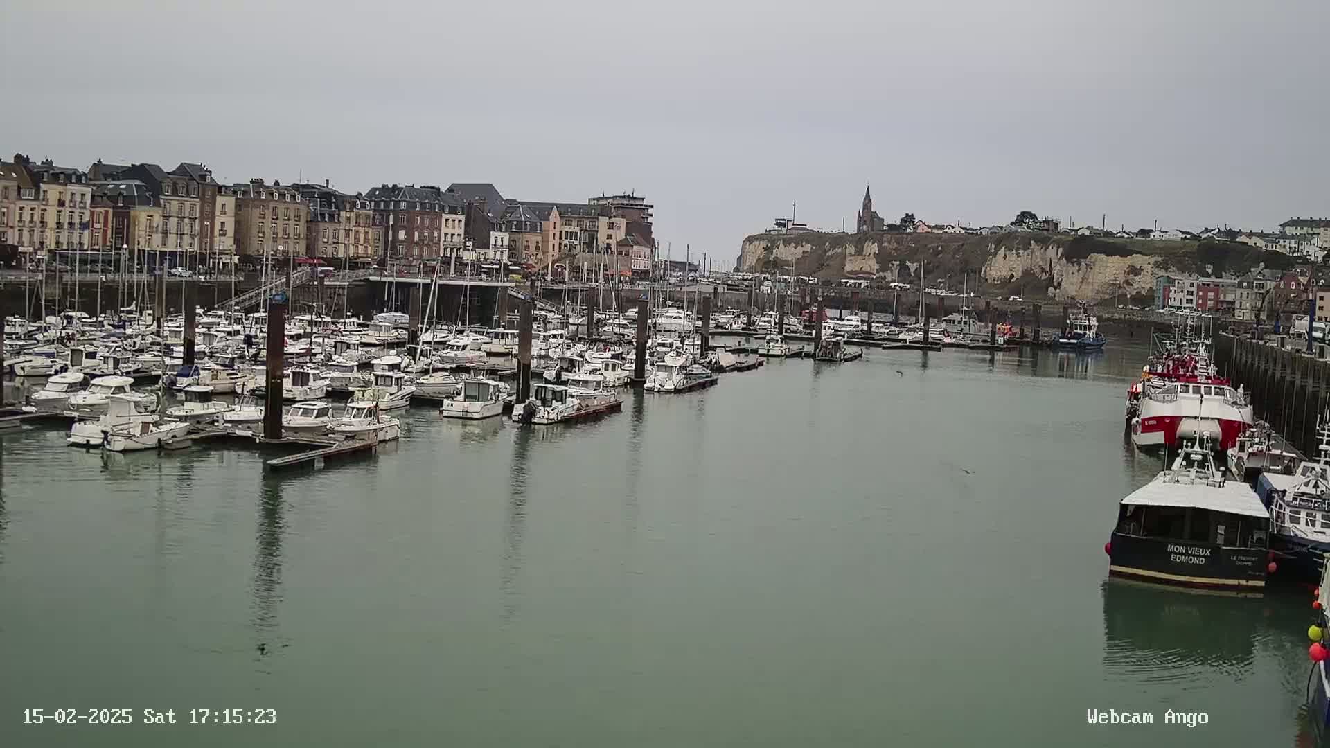 A harbor filled with numerous boats is nestled beside a town of multi-story buildings, all under an overcast sky.