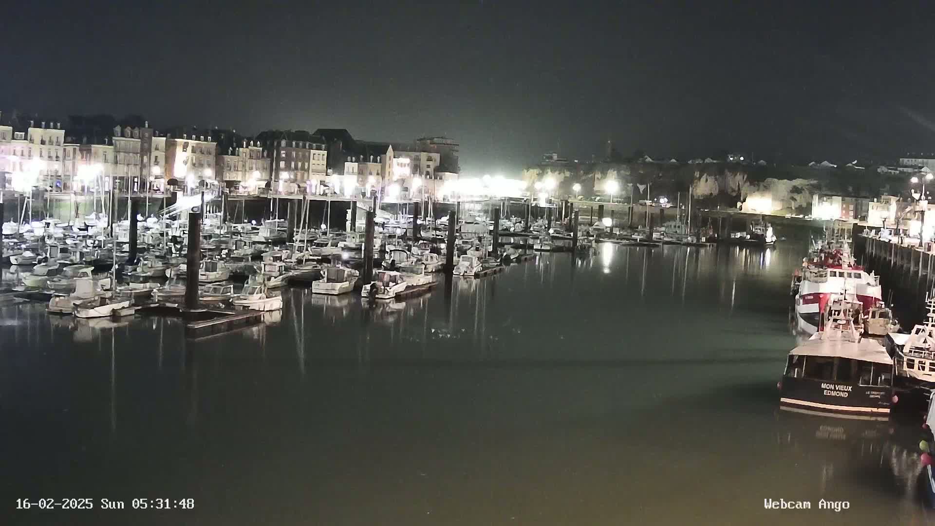 A nighttime harbor filled with numerous docked boats, illuminated by lights from buildings lining the waterfront.