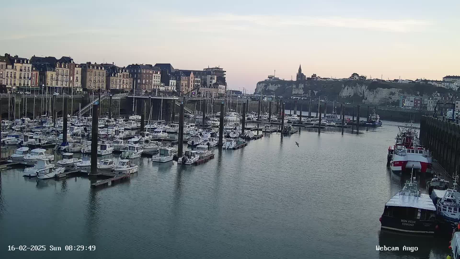 A calm harbor filled with numerous boats and yachts is nestled beside a town of buildings against a backdrop of white cliffs under a twilight sky.