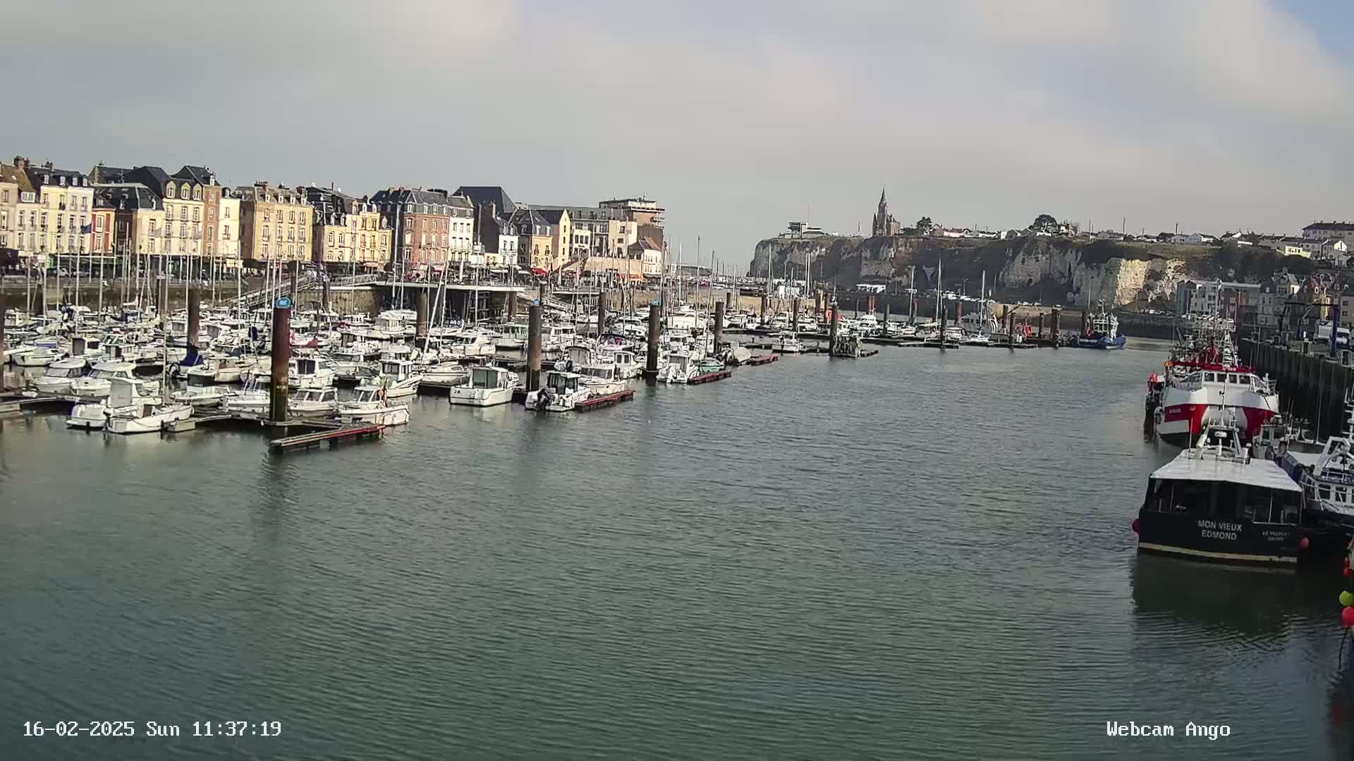 A harbor filled with numerous boats is situated in front of a town with multi-story buildings under a partly cloudy sky.