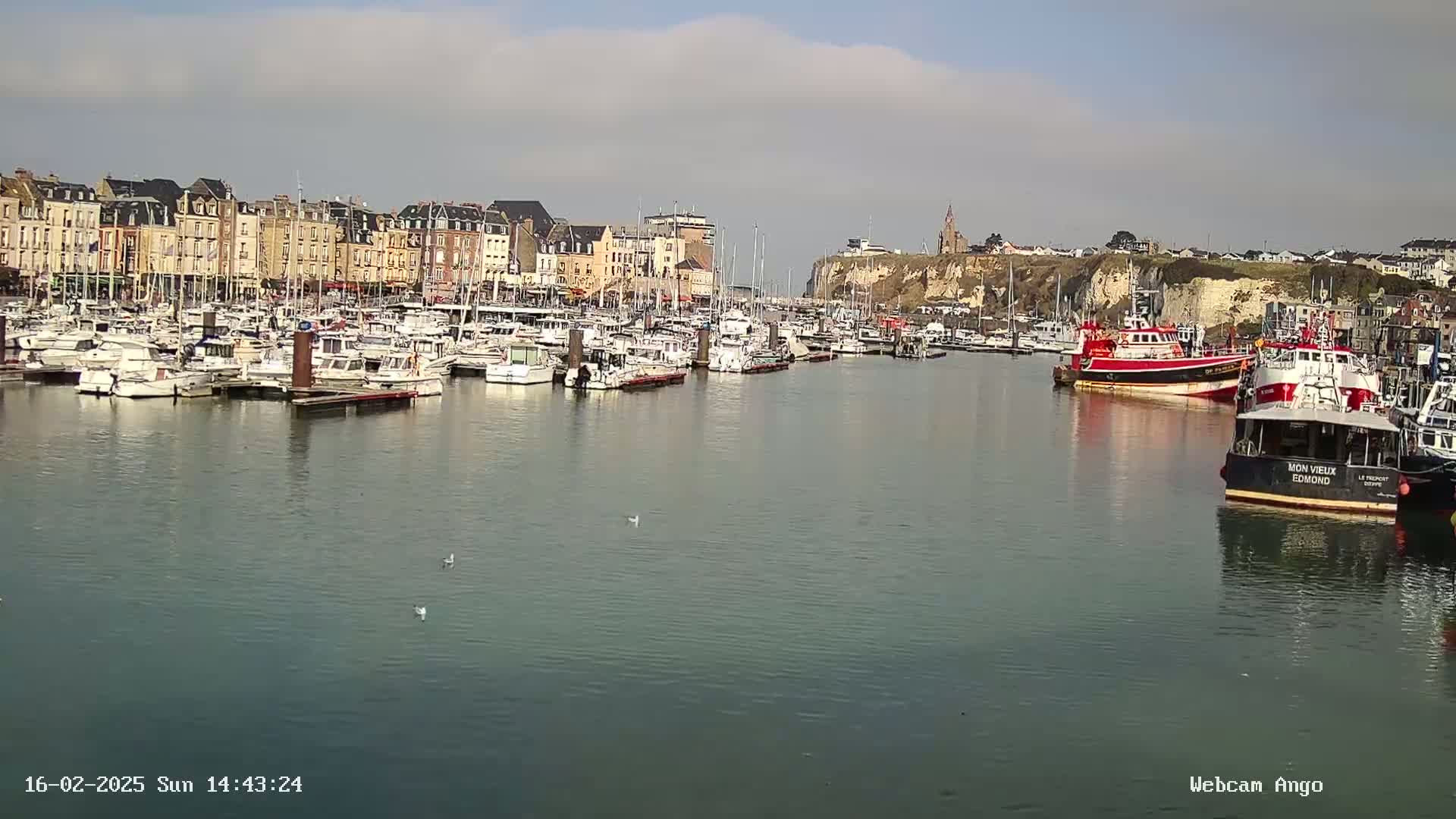 A harbor filled with numerous boats and yachts is situated in front of a town with multi-story buildings, under a partly cloudy sky.