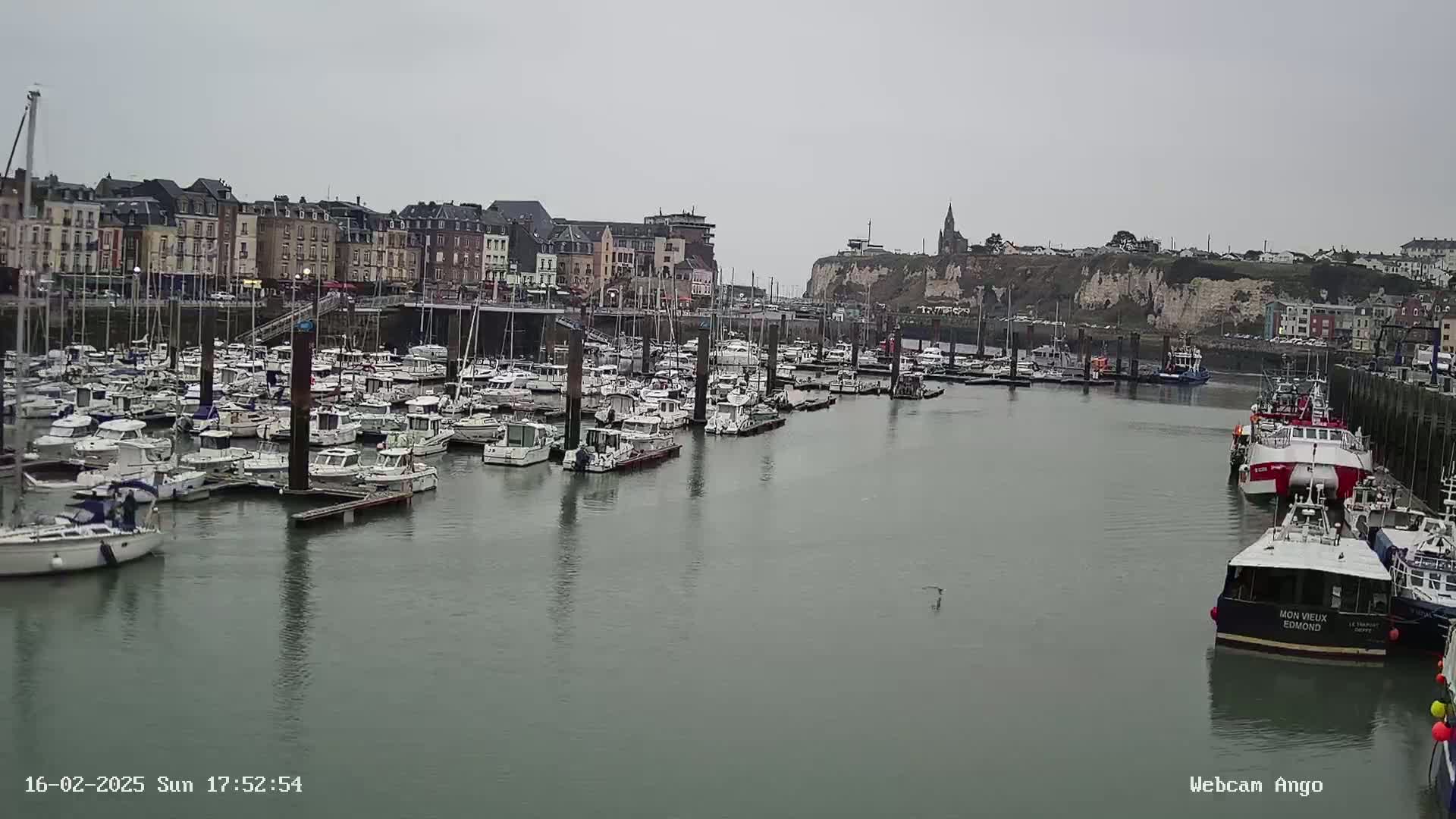A harbor filled with numerous boats and yachts is situated in front of a town with multi-story buildings under an overcast sky.