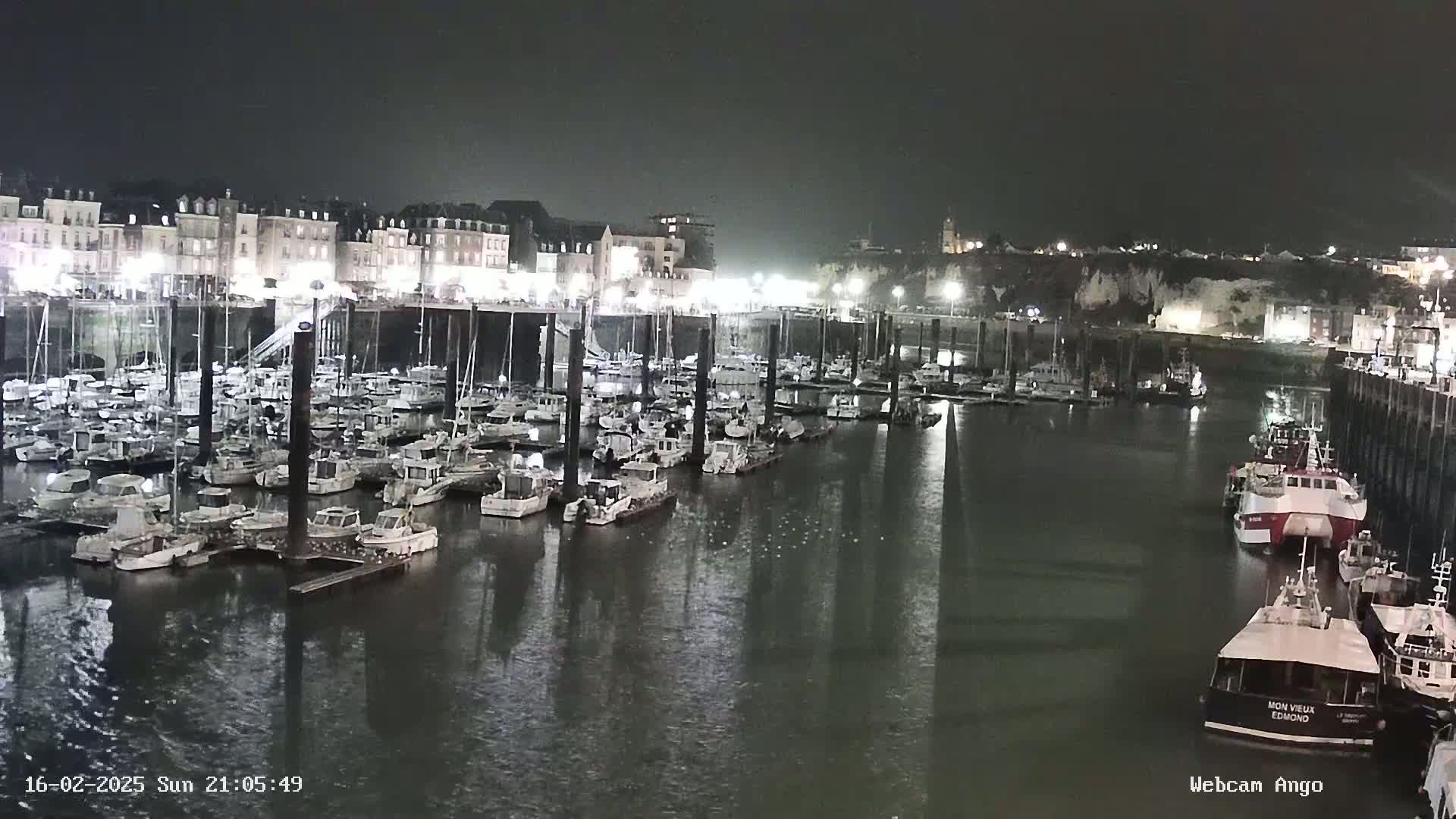 A nighttime view of a harbor filled with numerous boats docked along a waterfront lined with buildings under a dark sky.