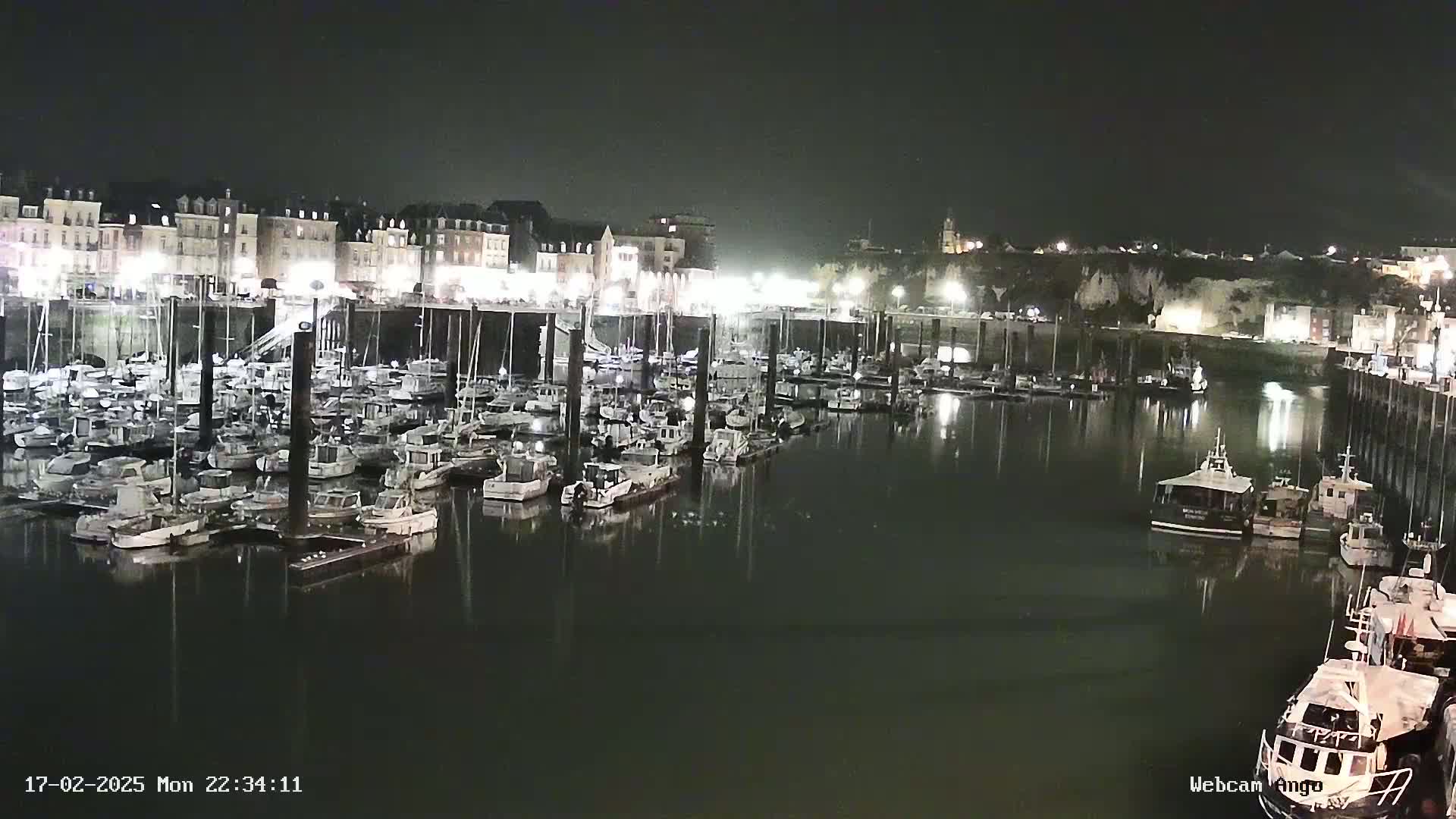 A nighttime view of a harbor filled with numerous boats docked at piers, with a town illuminated behind it.