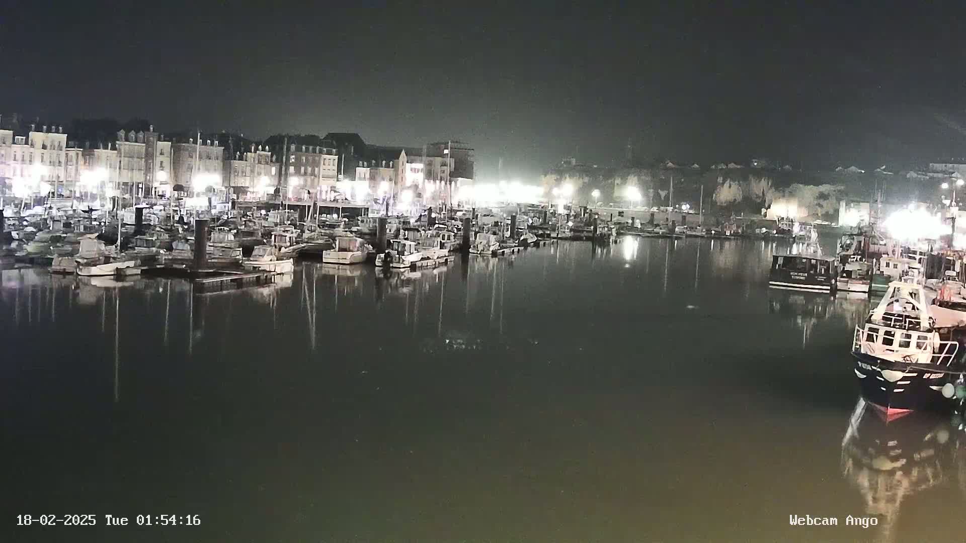 Many boats are docked in a harbor at night, under a dark, hazy sky, next to a line of buildings.