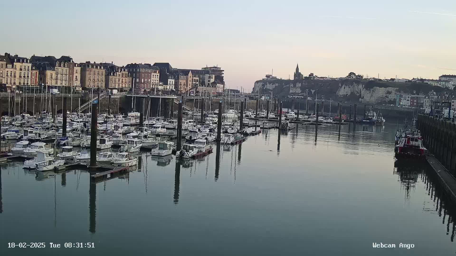 A calm harbor filled with numerous moored boats sits before a town built along a cliffside under a pale sky.