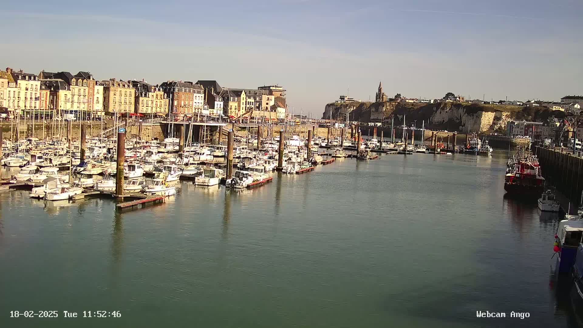 A harbor filled with numerous boats is situated in front of a town with buildings lining the waterfront under a sunny sky.