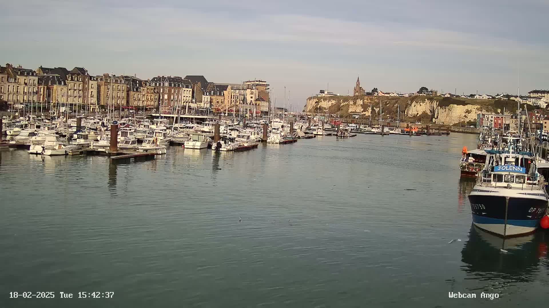 A harbor filled with numerous boats is situated in front of a town with multi-story buildings, under a mostly clear sky.