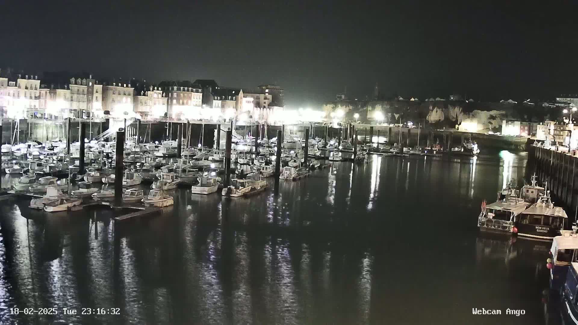 A nighttime view of a harbor filled with numerous boats docked at piers, with illuminated buildings lining the waterfront.