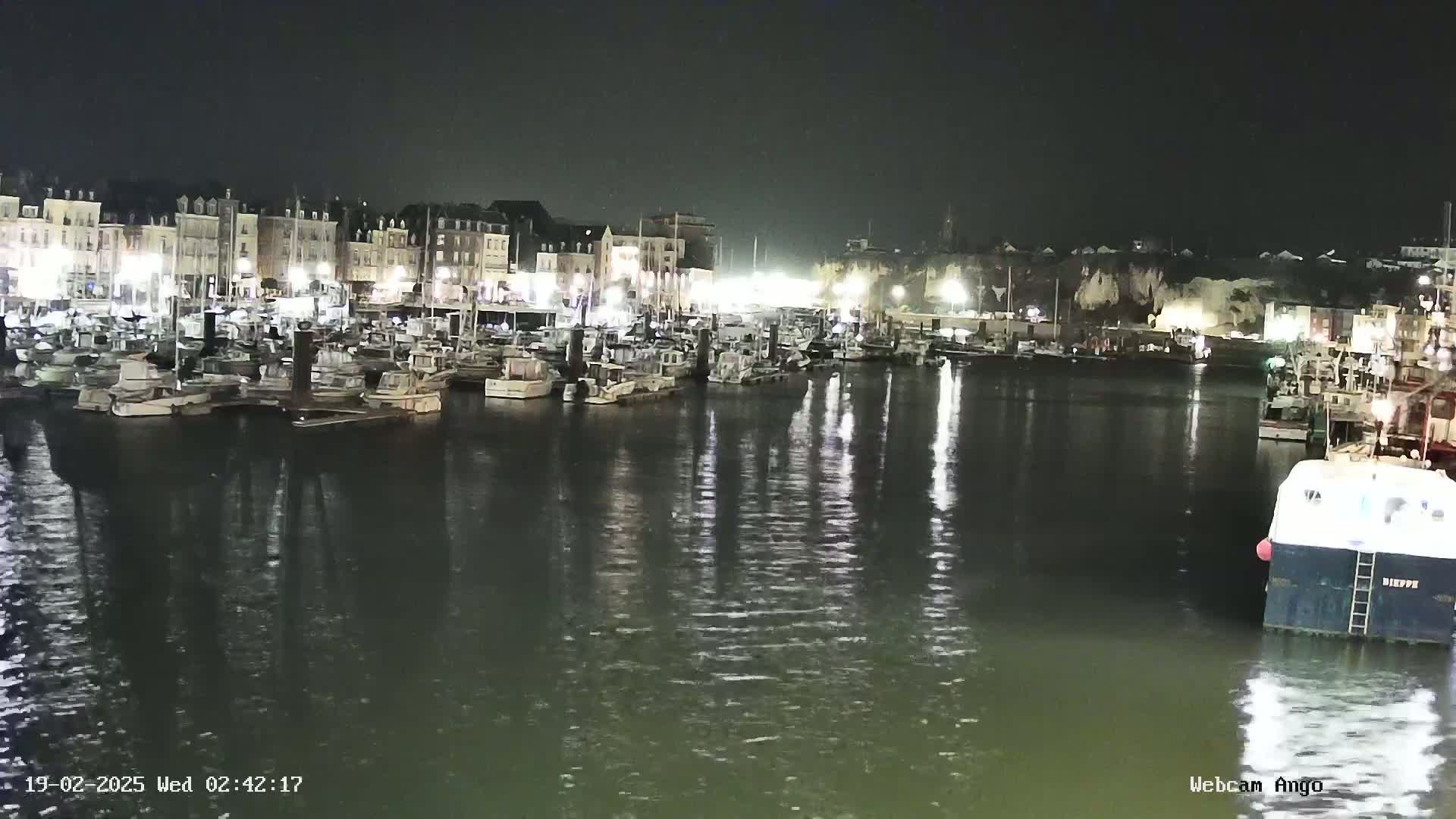 A nighttime view of a harbor filled with numerous boats moored alongside a waterfront of buildings, under calm, dark conditions.