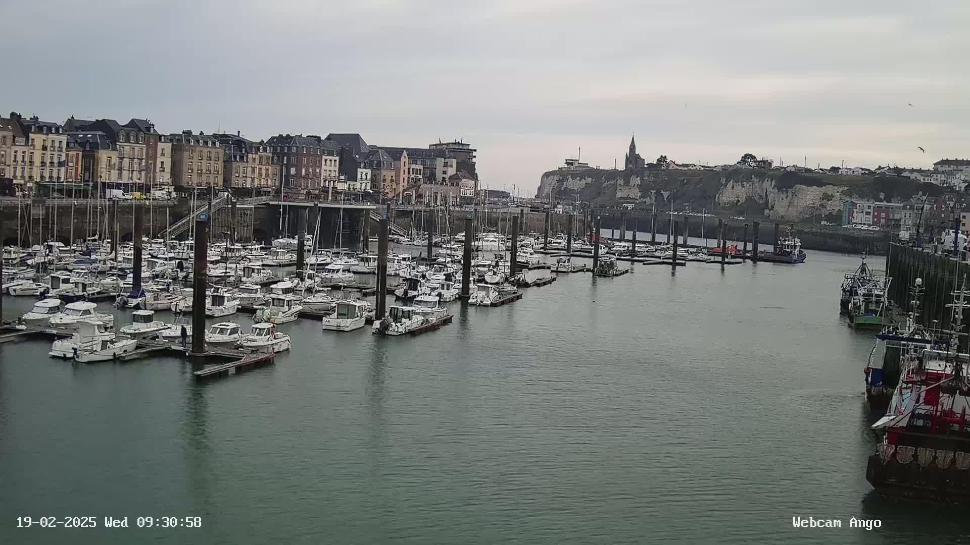 A harbor filled with many docked sailboats and motorboats is situated in front of a town with buildings lining the waterfront under an overcast sky.