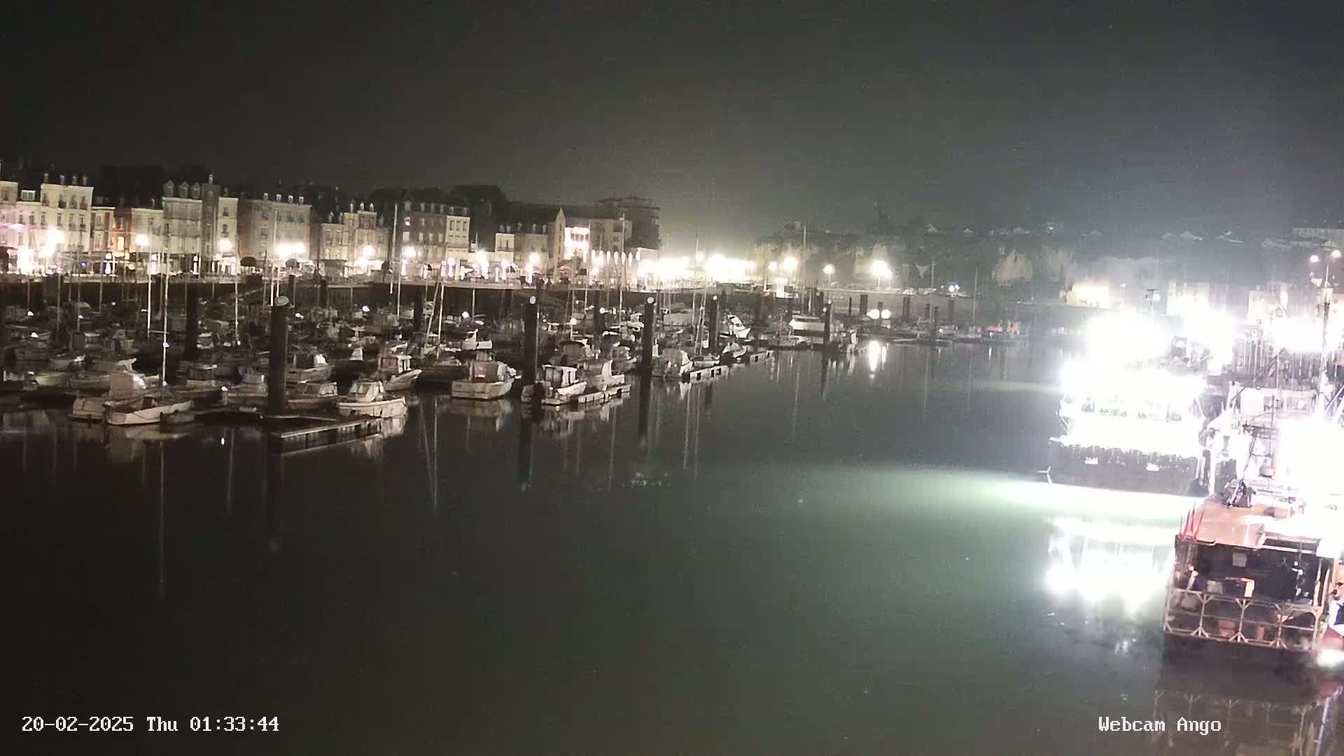 A nighttime harbor scene shows many boats moored along a waterfront lined with buildings under hazy, dark conditions.