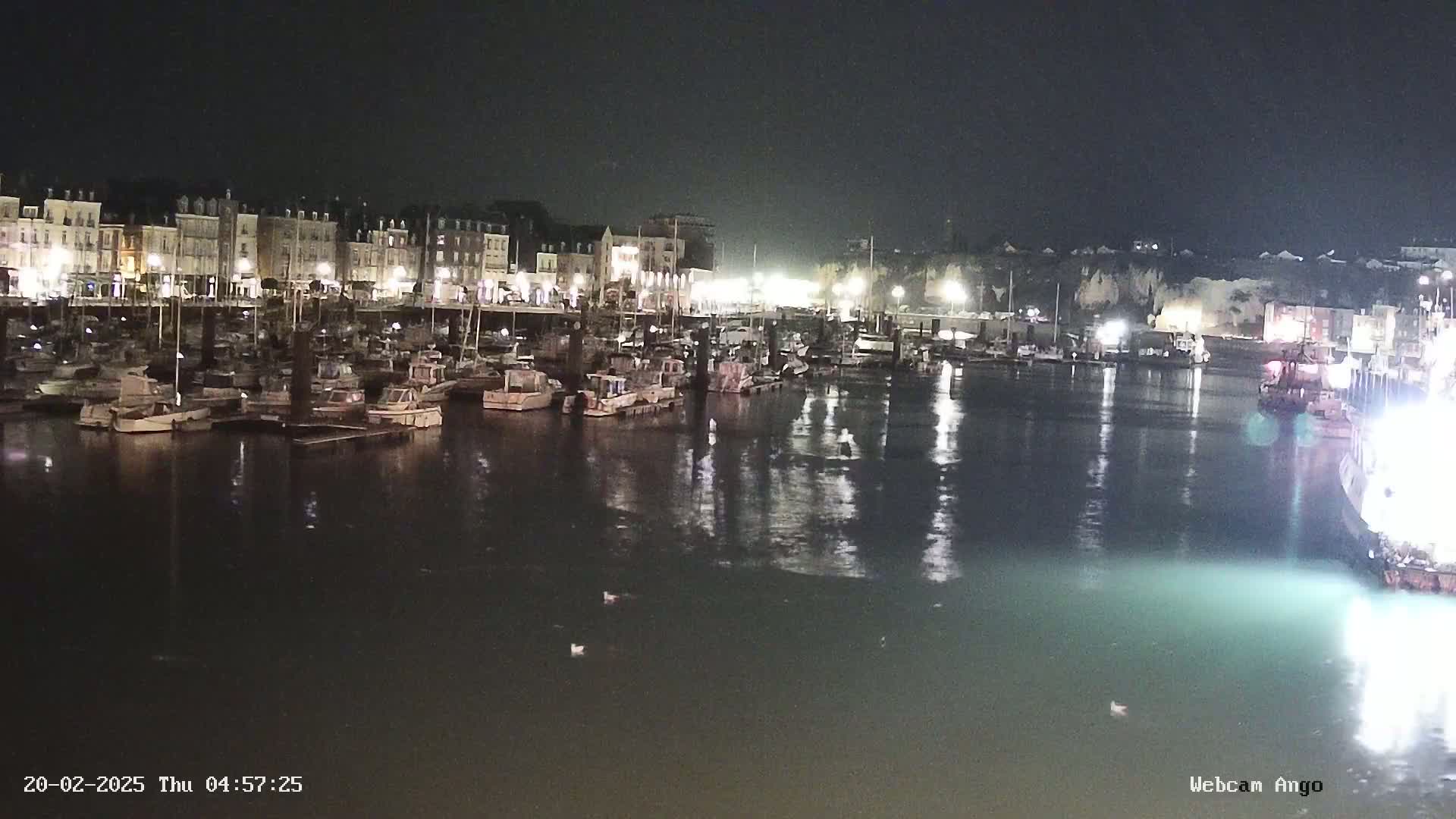 A nighttime view of a harbor filled with boats, docked along a waterfront lined with buildings.
