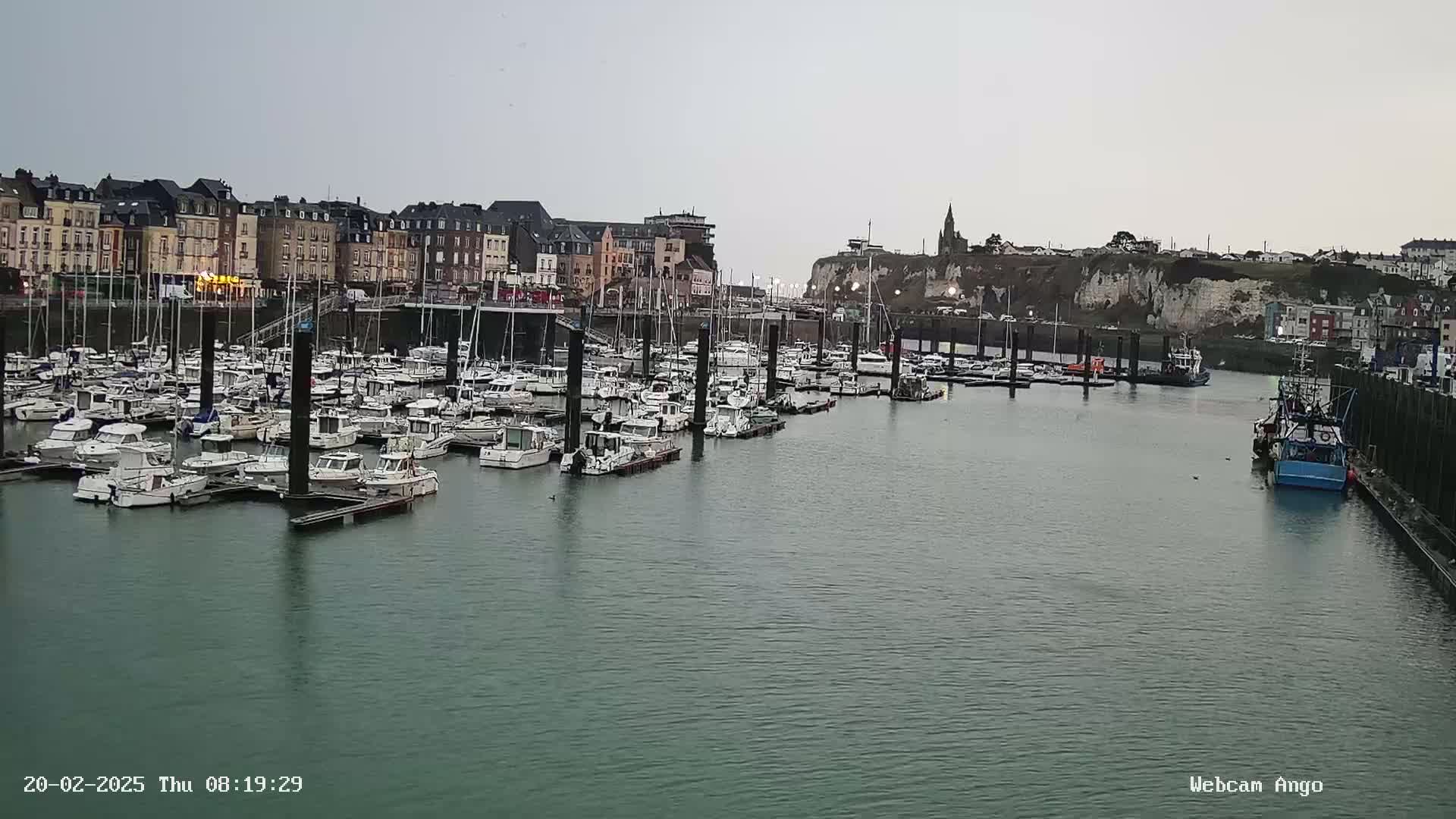 A marina filled with numerous boats is situated in front of a town built along a cliff face under an overcast sky.