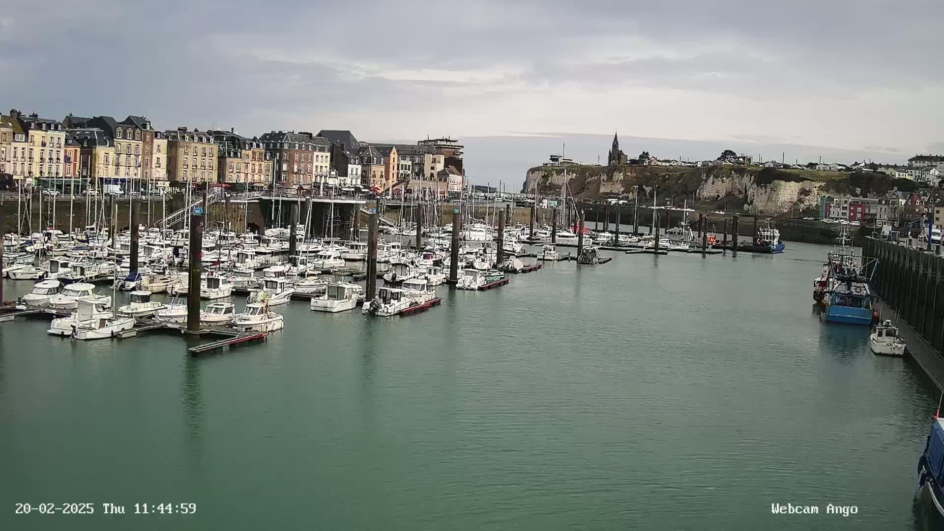 A harbor filled with numerous boats is situated in front of a town featuring multi-story buildings and a cliff under an overcast sky.