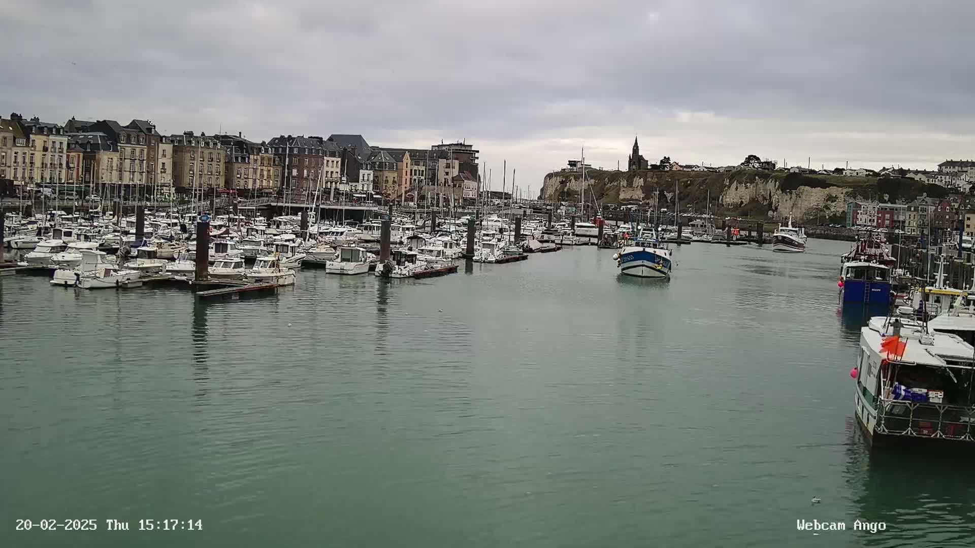 A harbor filled with numerous boats is situated in front of a town with buildings lining the waterfront under an overcast sky.