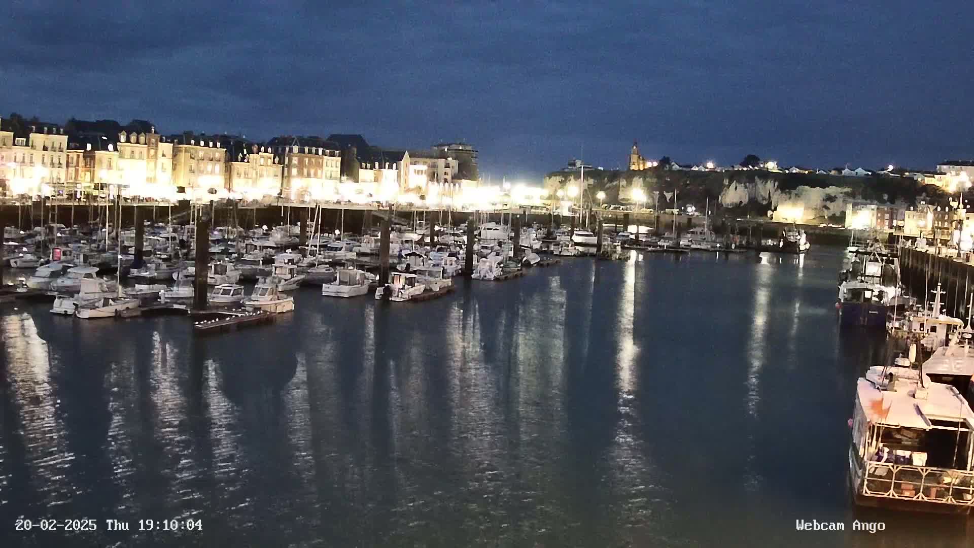 A harbor filled with numerous boats is illuminated at night under a dark sky.