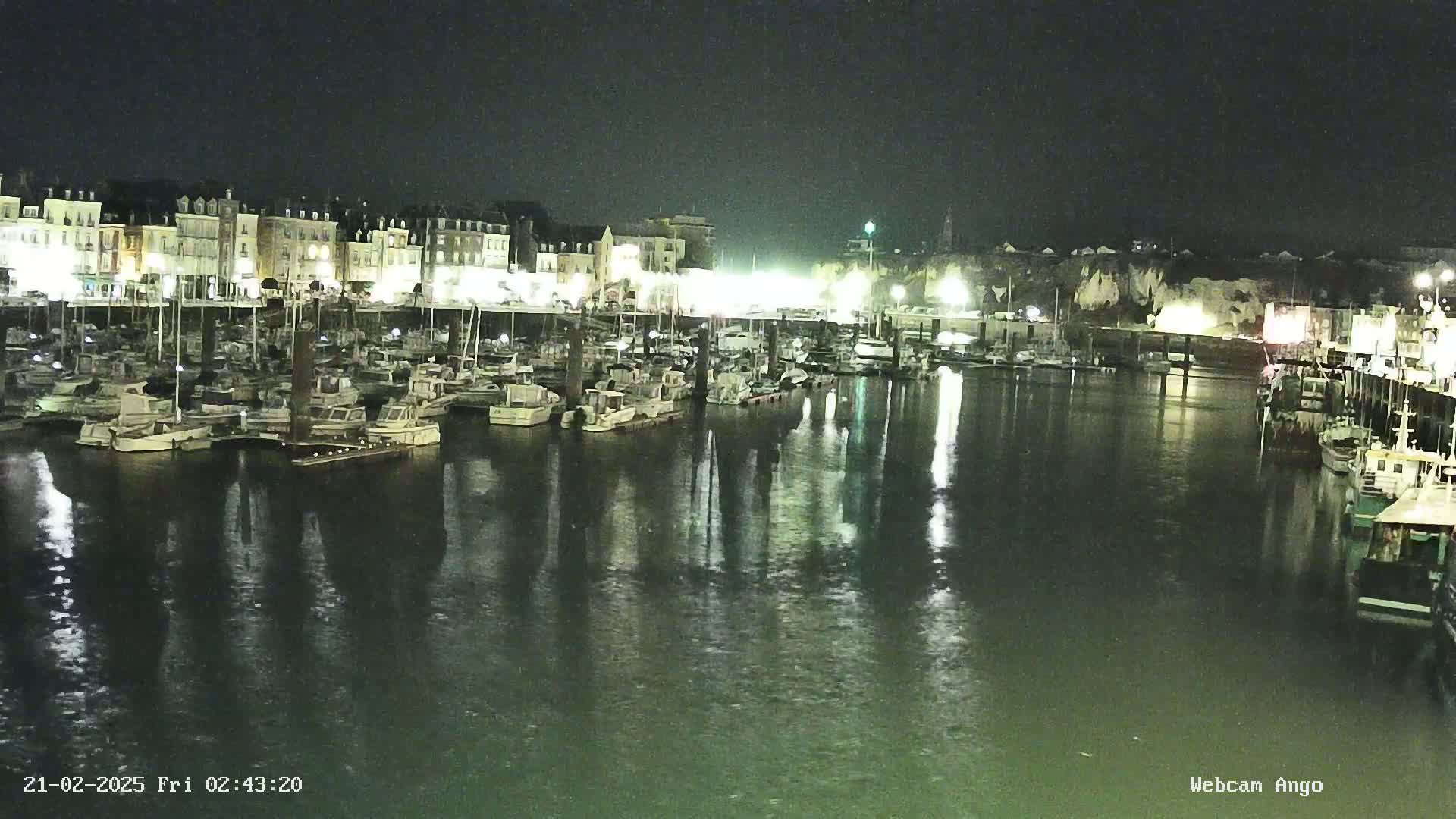 A nighttime view of a harbor filled with many boats docked alongside a waterfront of lit buildings, under a dark sky.