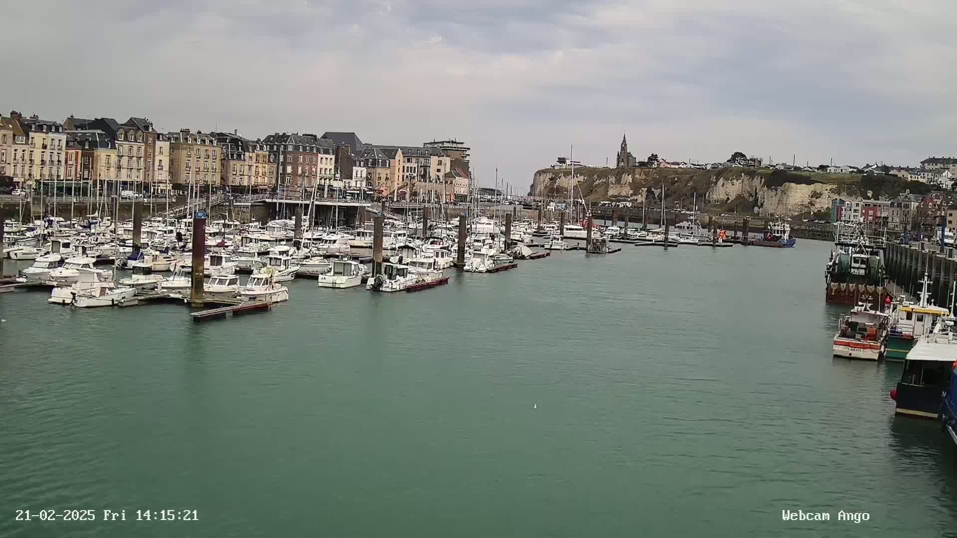 A harbor filled with numerous boats is situated in front of a town built along a cliffside under an overcast sky.