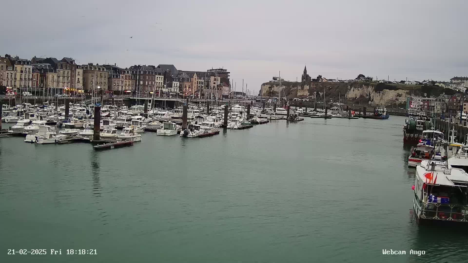 A harbor filled with numerous boats is situated in front of a town with buildings lining the waterfront under an overcast sky.