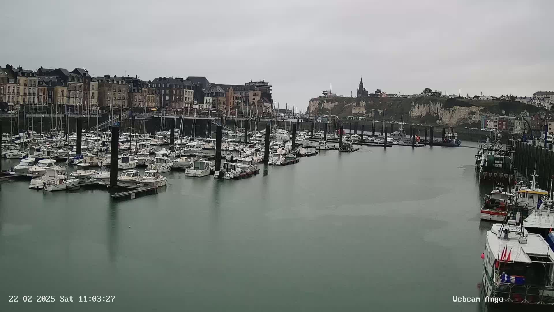 A harbor filled with numerous boats is situated in front of a town with multi-story buildings, under an overcast sky.