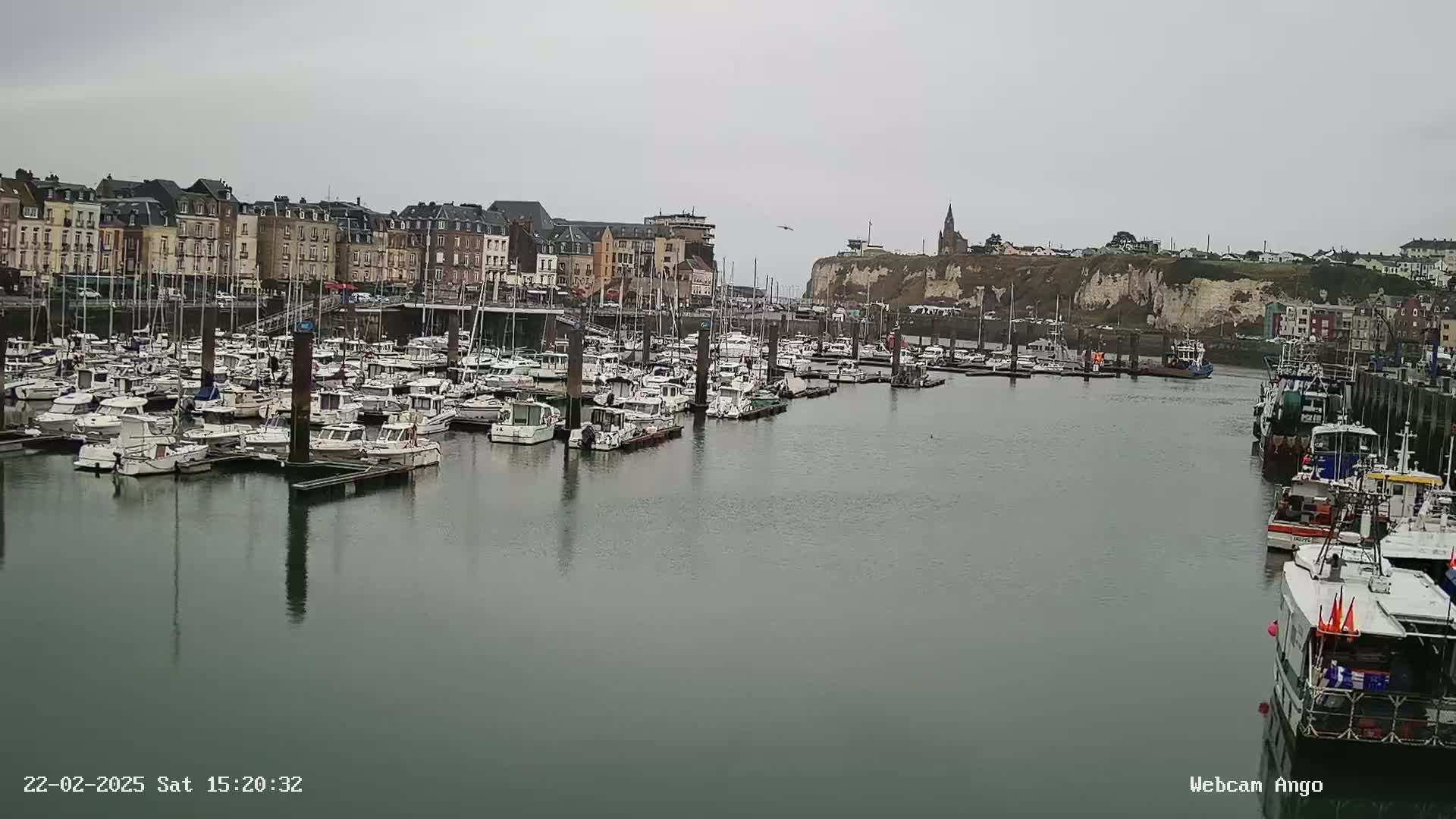 A harbor filled with numerous boats is situated in front of a town under an overcast sky.