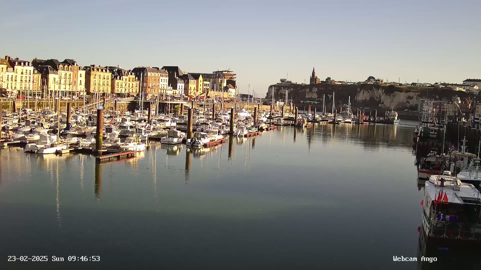 A calm harbor filled with numerous boats is situated in front of a town with multi-storied buildings, all under a clear, bright sky.