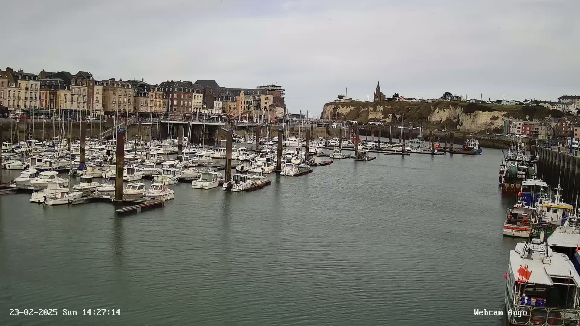 A harbor filled with numerous boats is situated in front of a town with multi-story buildings, under a cloudy sky.