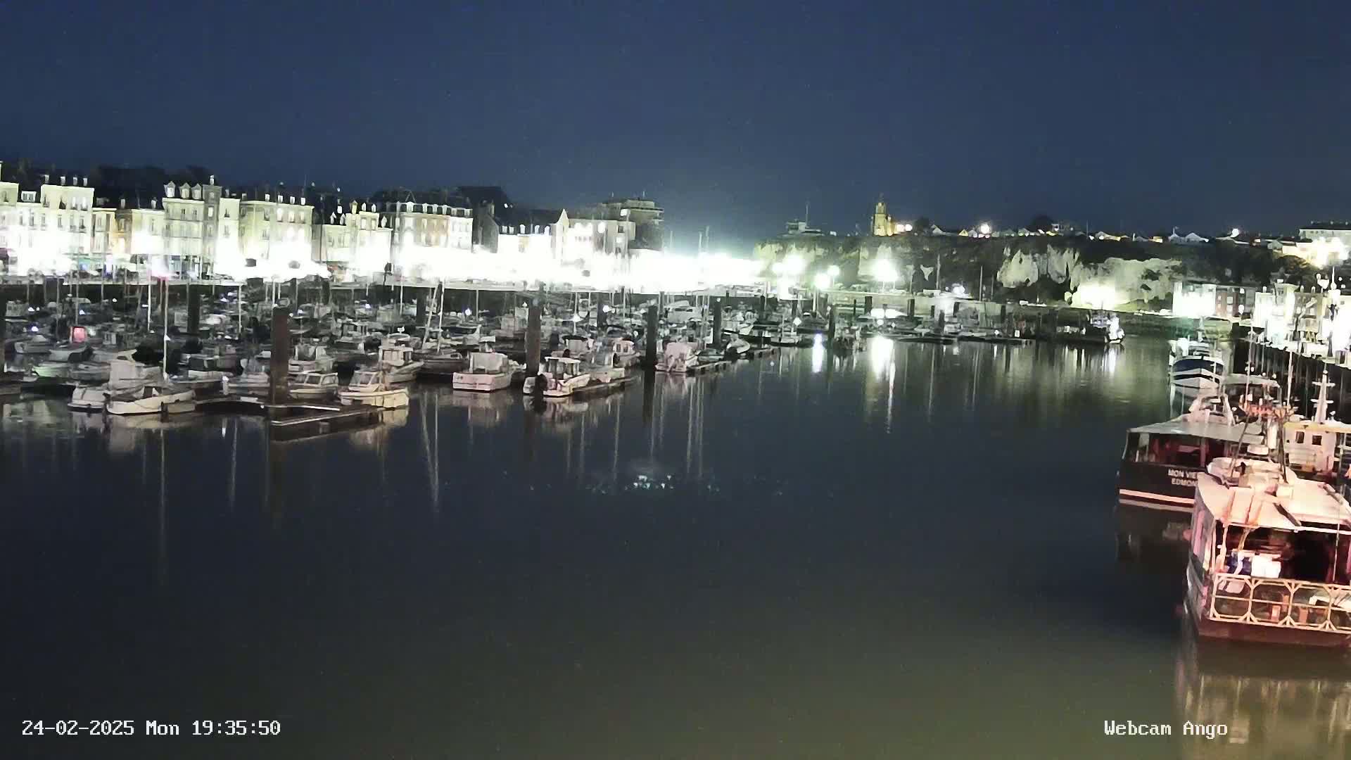 A nighttime view of a harbor filled with numerous boats docked along a waterfront lined with buildings under a dark sky.