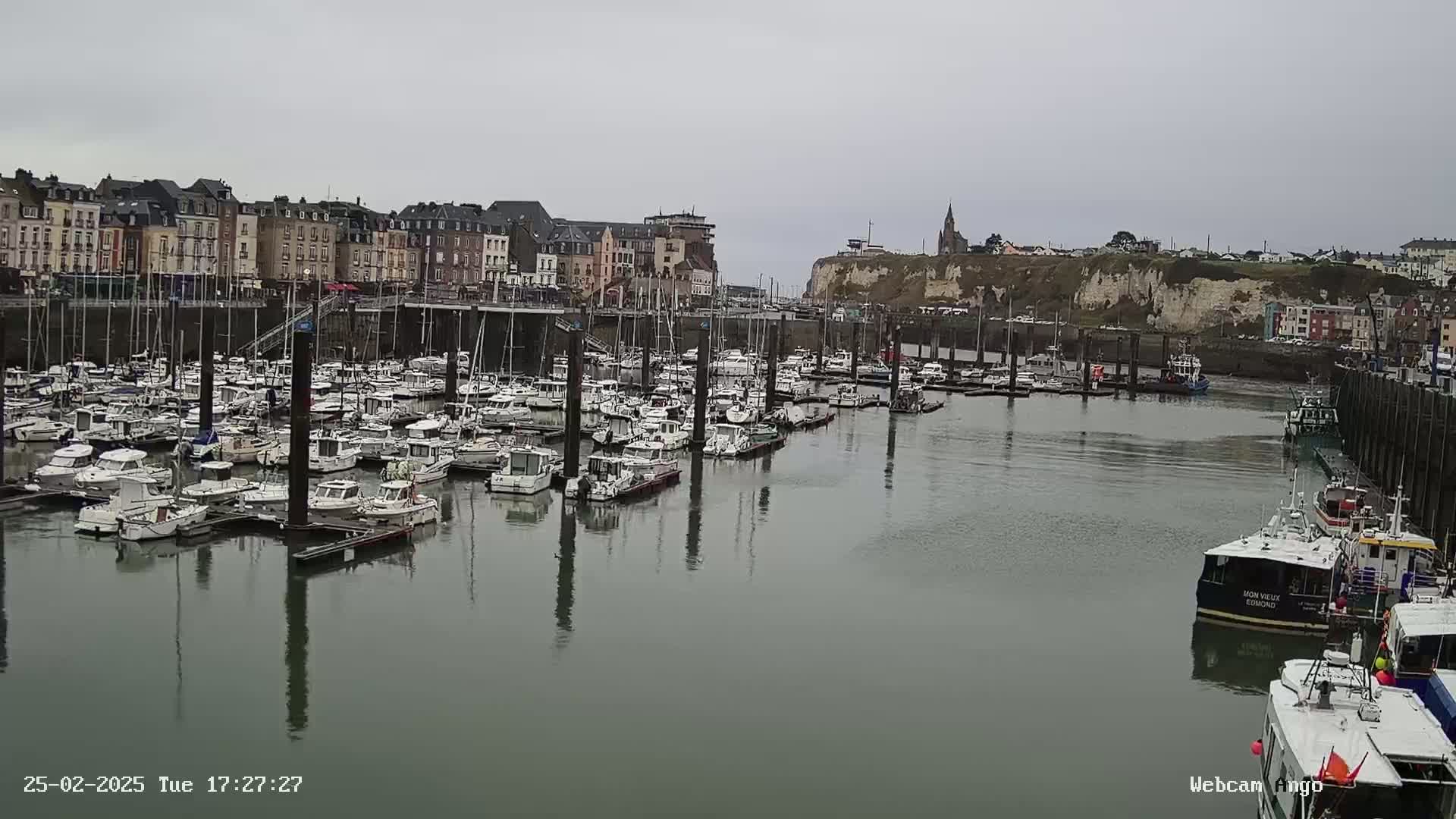 A harbor filled with numerous docked boats is situated in front of a town of multi-storied buildings under an overcast sky.