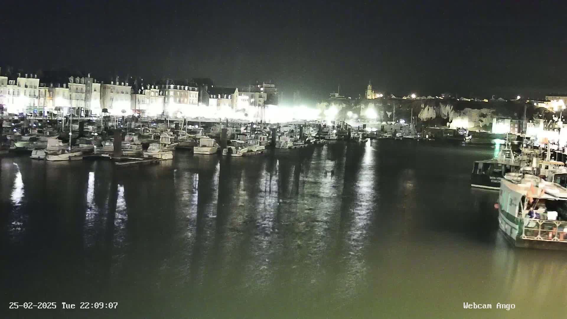 Many boats are docked in a harbor at night, with brightly lit buildings in the background and calm, reflective water.