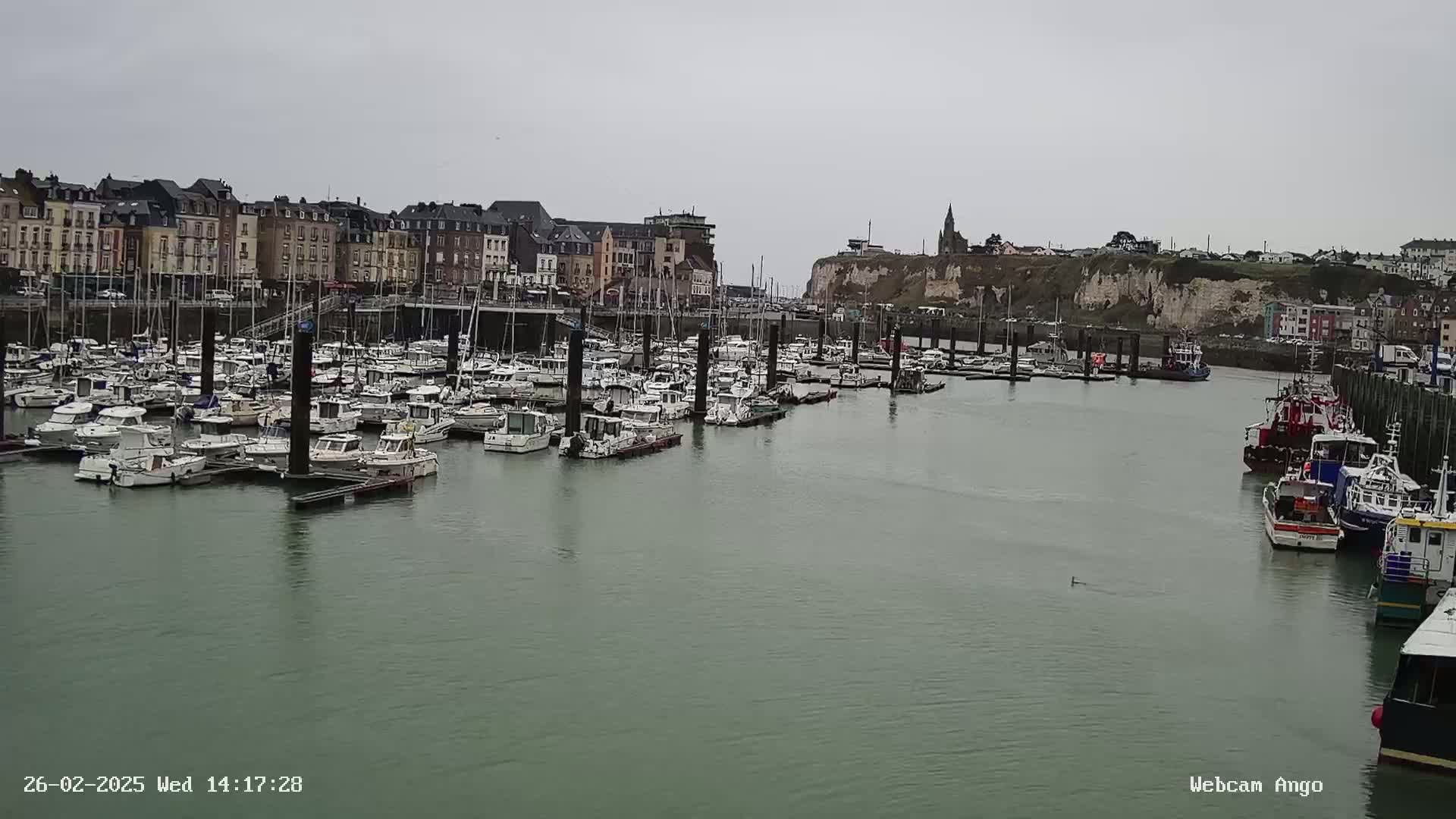 A marina filled with numerous boats is situated in front of a town with multi-story buildings under an overcast sky.