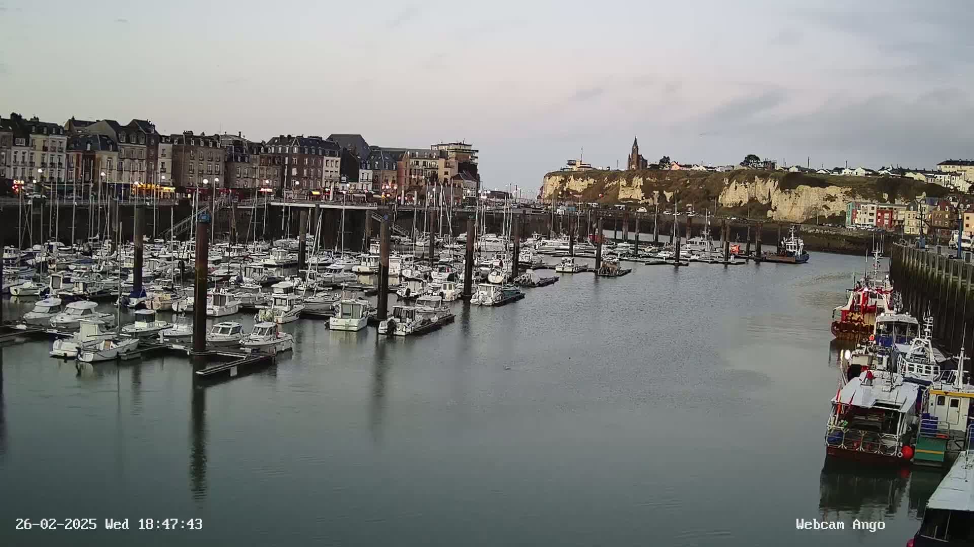 A harbor filled with numerous boats is situated in front of a town with multi-story buildings under a cloudy, overcast sky.