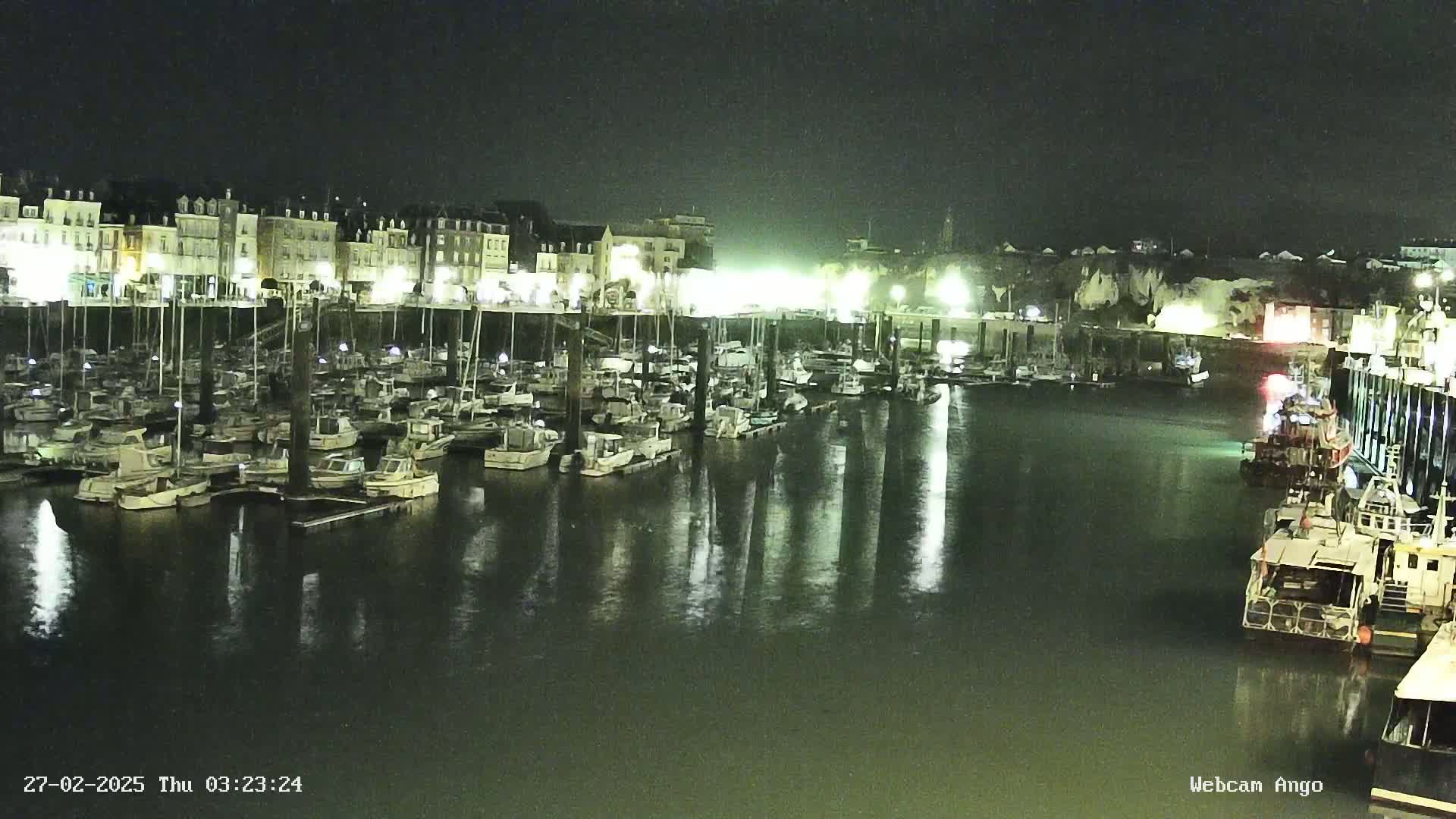 A nighttime view of a harbor filled with numerous boats docked alongside a waterfront lined with buildings, under slightly overcast conditions.