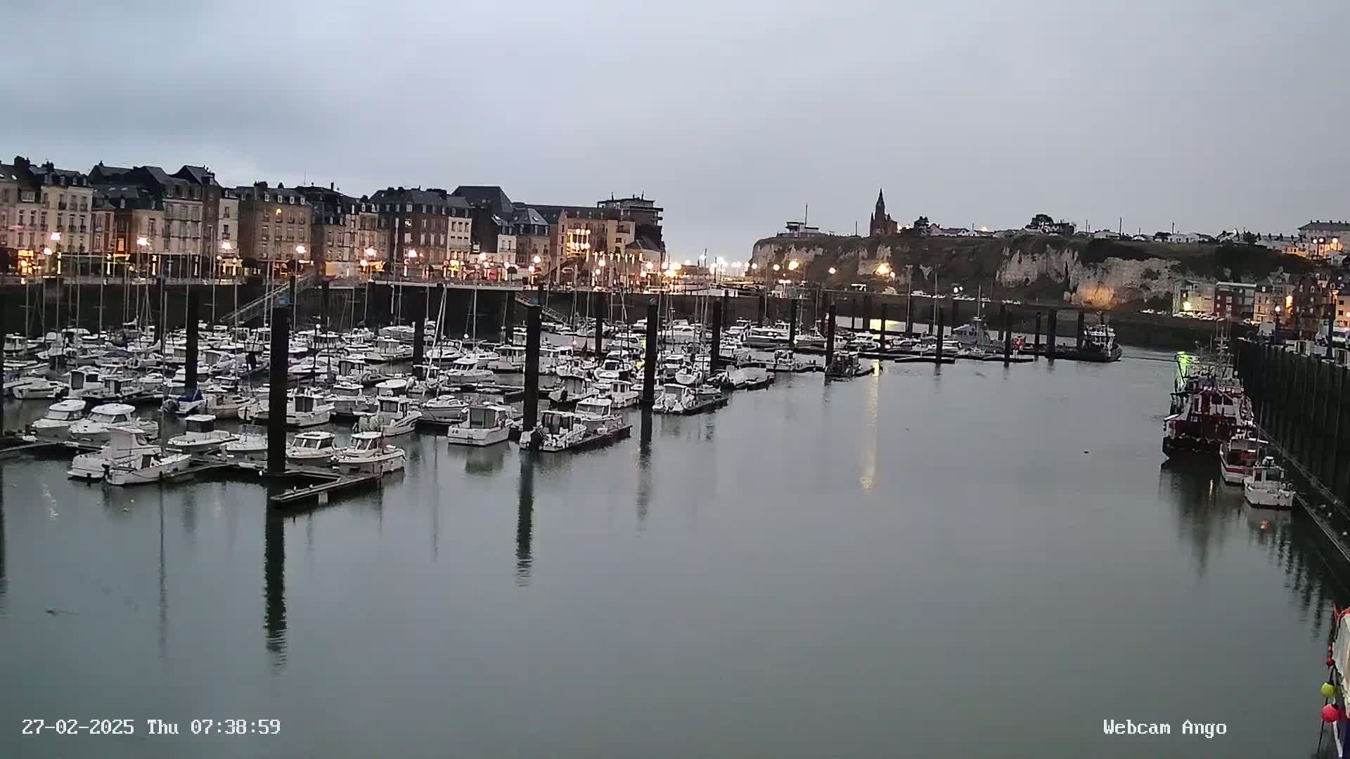 A marina filled with numerous boats is situated in front of a town under a cloudy sky.