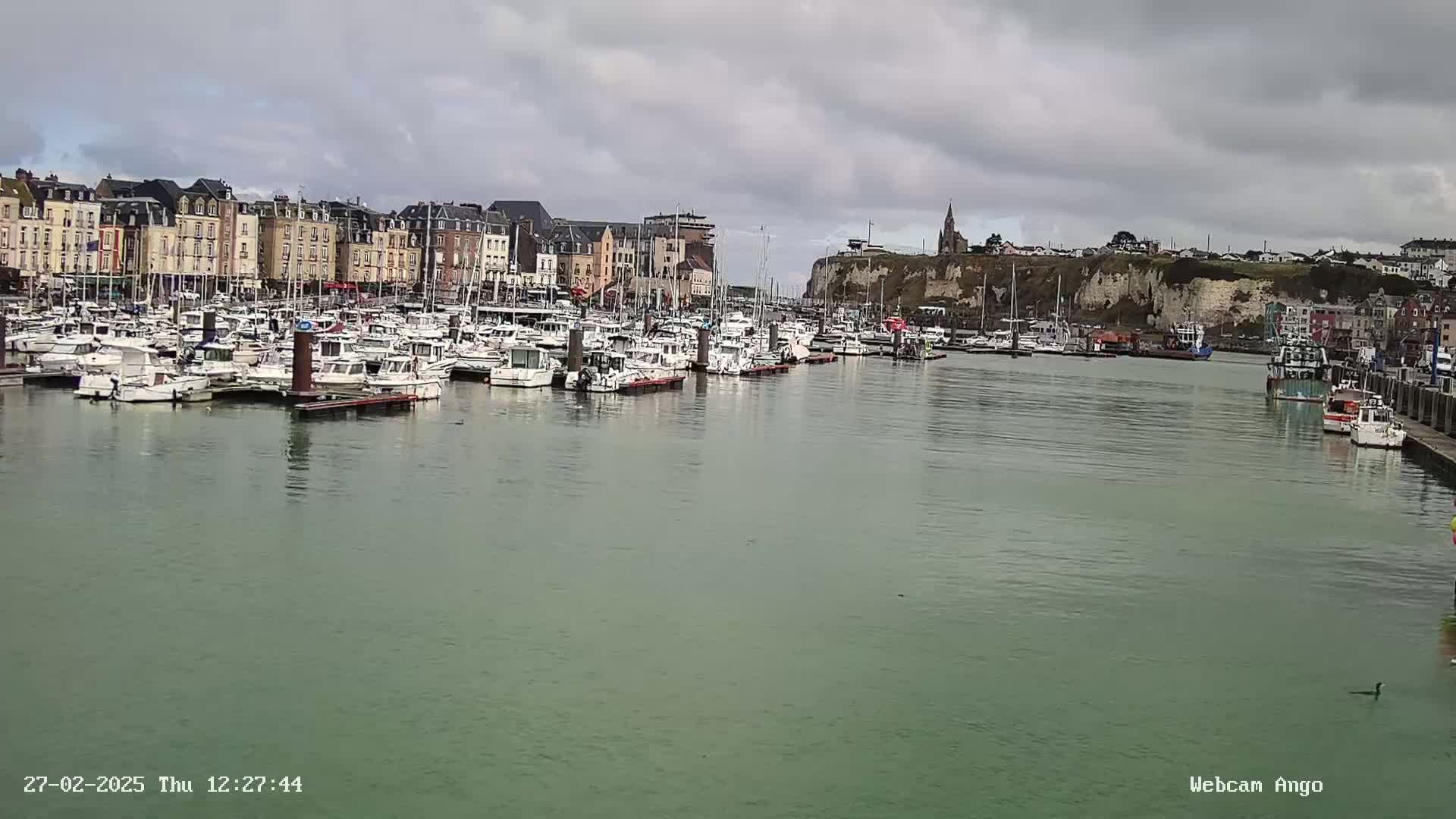 A harbor filled with numerous boats is situated in front of a town with multi-story buildings under a cloudy sky.