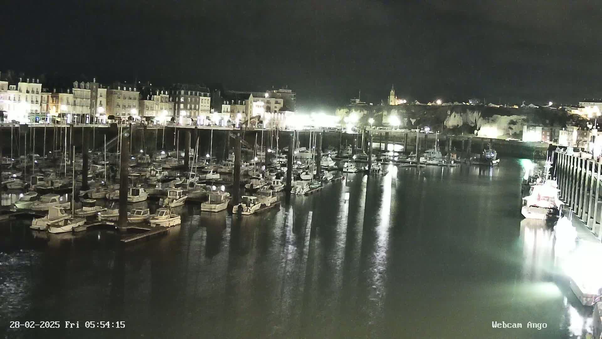 A nighttime harbor filled with many boats moored alongside a waterfront of buildings.