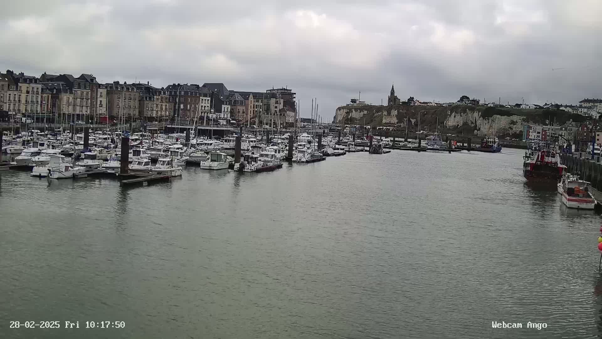 A harbor filled with numerous boats is situated in front of a town with multi-story buildings under an overcast sky.